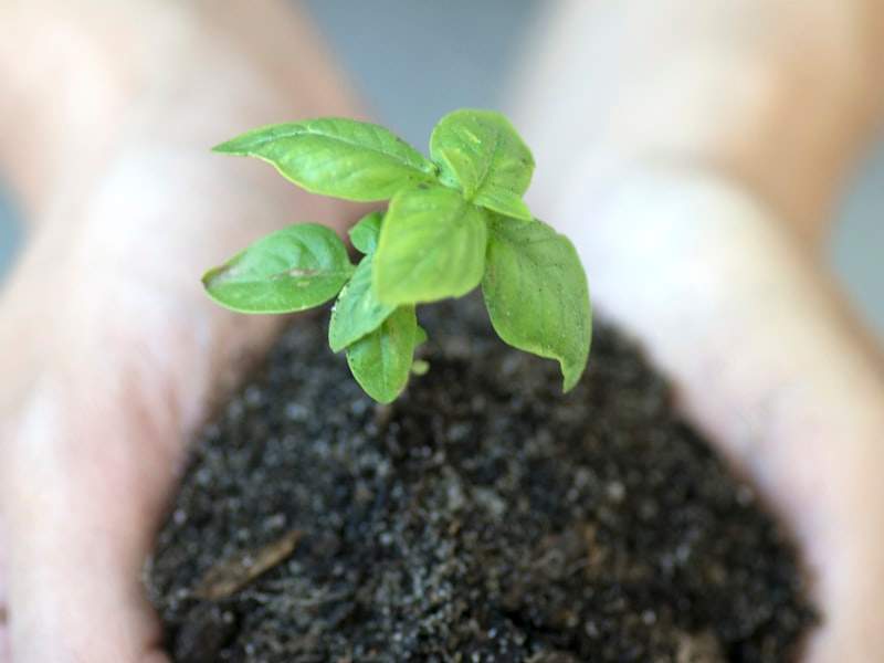 Understanding Hoarding Cleanup in Beverly Hills